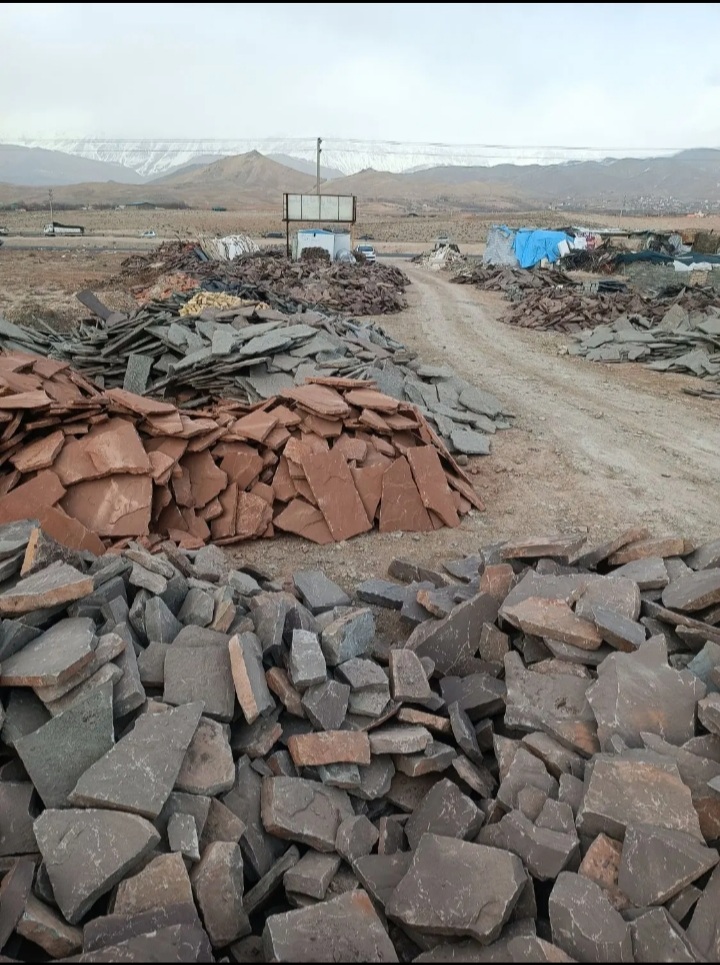 گالری مجموعه